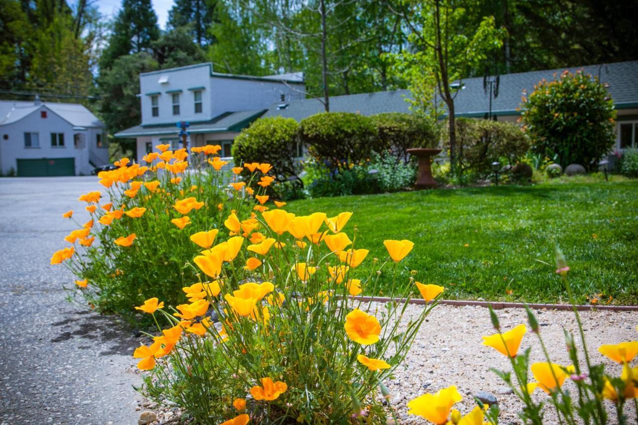 Outside Inn Nevada City Bagian luar foto